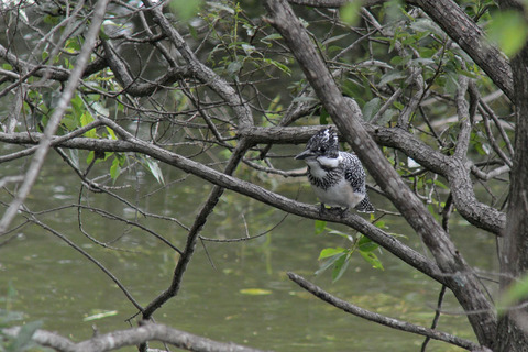 DSC_5316.jpg