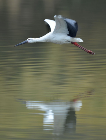 DSC_5347.jpg