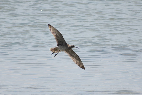 DSC_5351.jpg