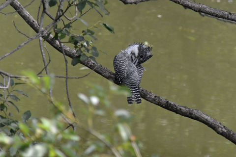 DSC_5381.jpg
