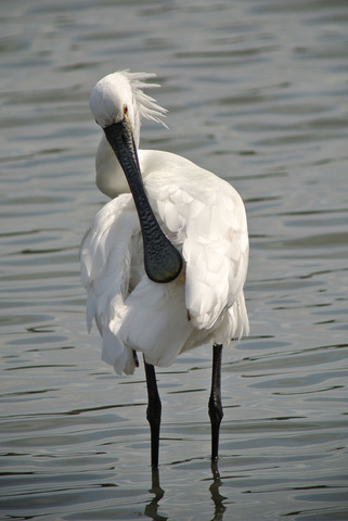 DSC_5383.jpg