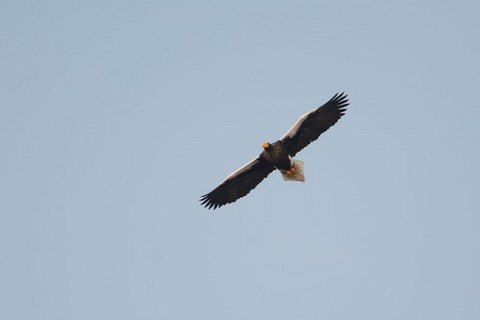 DSC_5412.jpg
