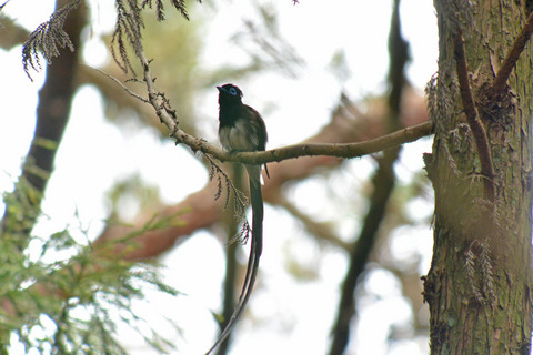 DSC_5420.jpg