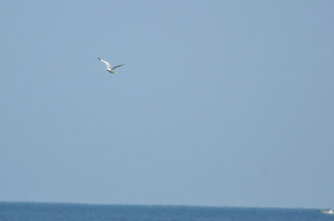 DSC_5434.jpg