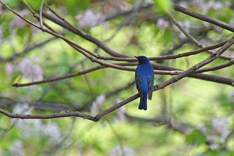 DSC_5495.jpg