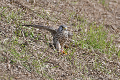 DSC_5501.jpg