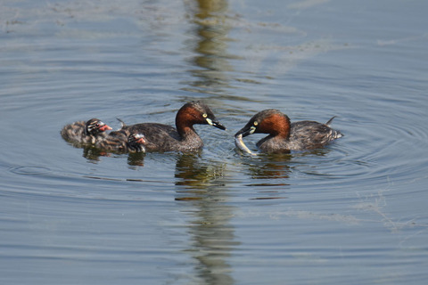 DSC_5539.jpg