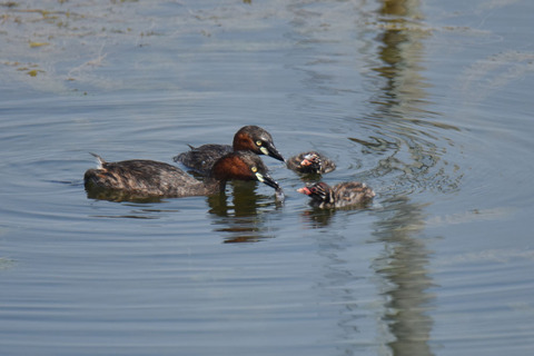 DSC_5562.jpg