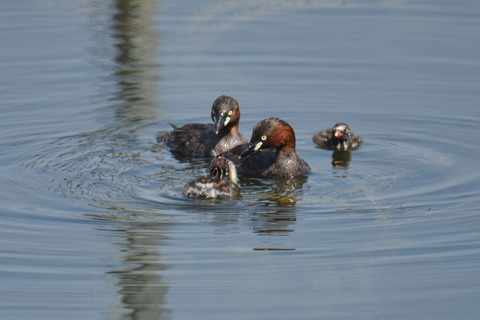 DSC_5577.jpg