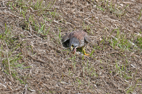 DSC_5578.jpg