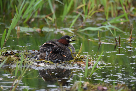 DSC_5578.jpg