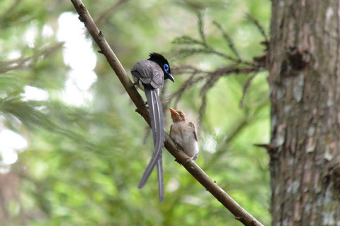 DSC_5585.jpg