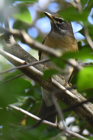 DSC_5593.jpg