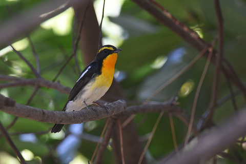 DSC_5595.jpg