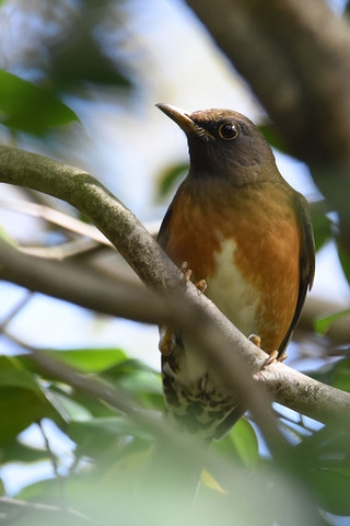 DSC_5601.jpg