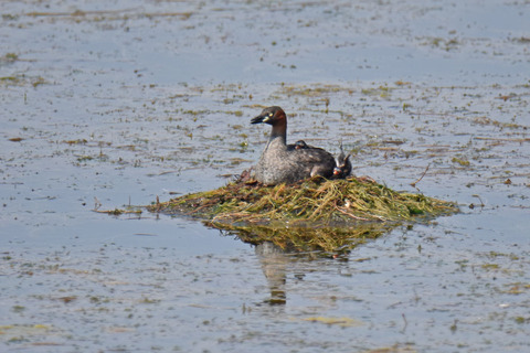 DSC_5628.jpg