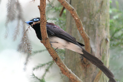 DSC_5634.jpg