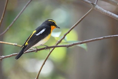 DSC_5644.jpg