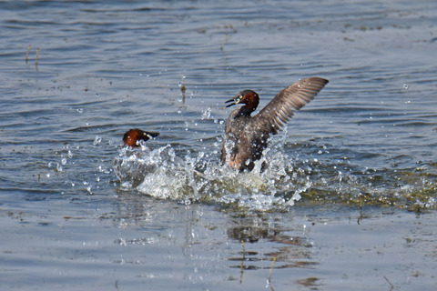 DSC_5659.jpg