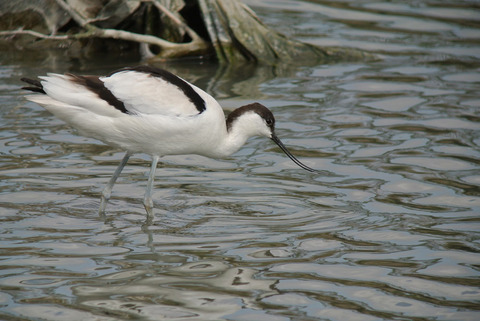 DSC_5677.jpg