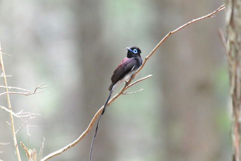 DSC_5684.jpg
