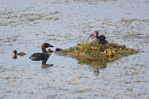DSC_5690.jpg