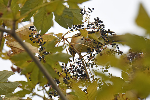 DSC_5714.jpg