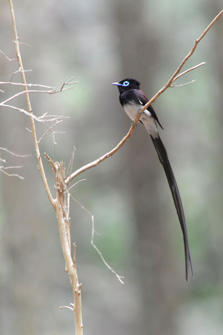 DSC_5720.jpg