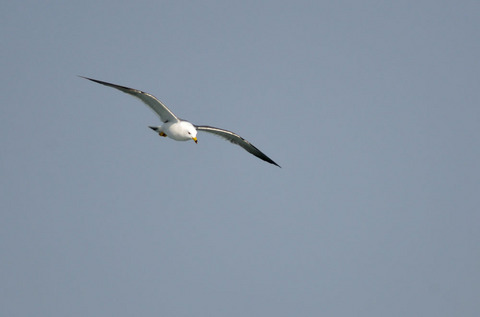 DSC_5758.jpg