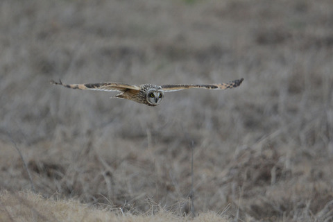 DSC_5776.jpg