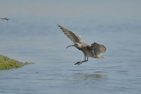 DSC_5802.jpg
