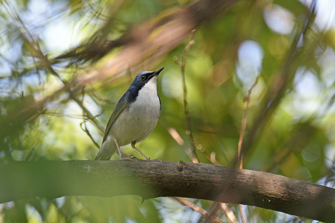 DSC_5806.jpg
