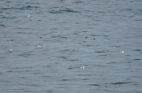DSC_5807.jpg
