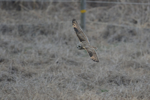 DSC_5808.jpg