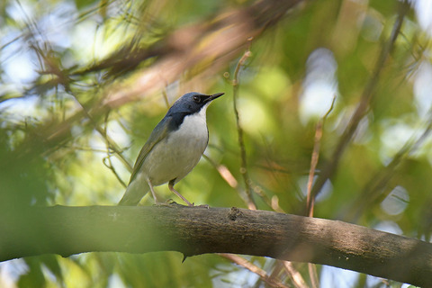 DSC_5810.jpg