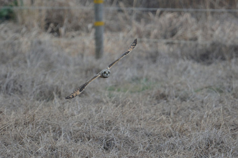 DSC_5833.jpg