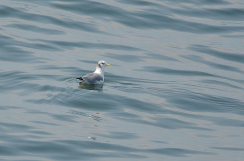 DSC_5833.jpg