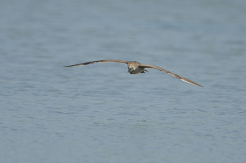 DSC_5841.jpg