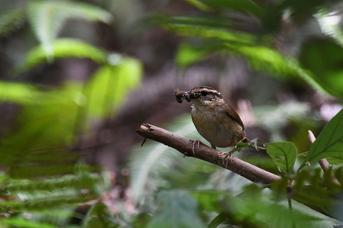DSC_5843.jpg
