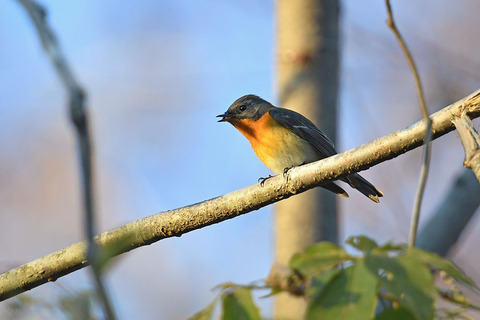 DSC_5857.jpg