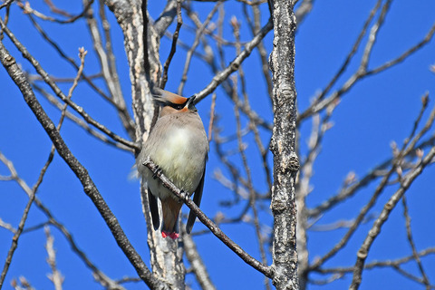 DSC_5870.jpg