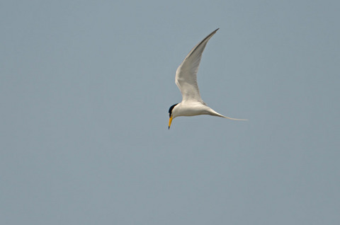 DSC_5874.jpg