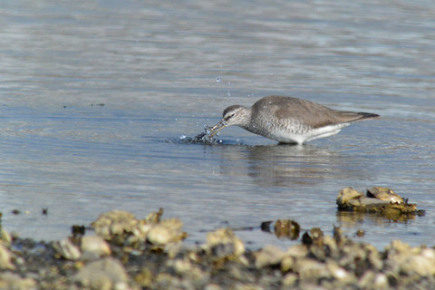 DSC_5878.jpg