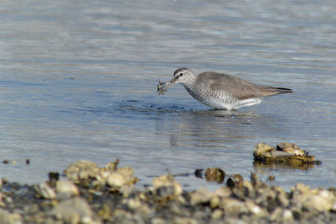 DSC_5882.jpg