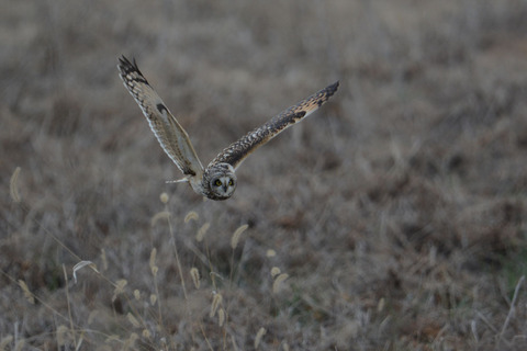 DSC_5913.jpg