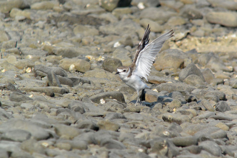 DSC_5933.jpg