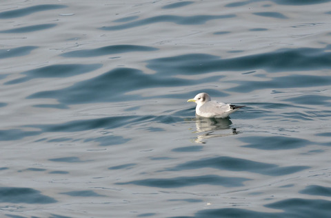 DSC_5961.jpg