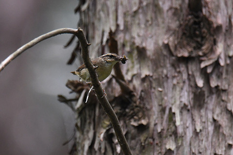 DSC_5982.jpg