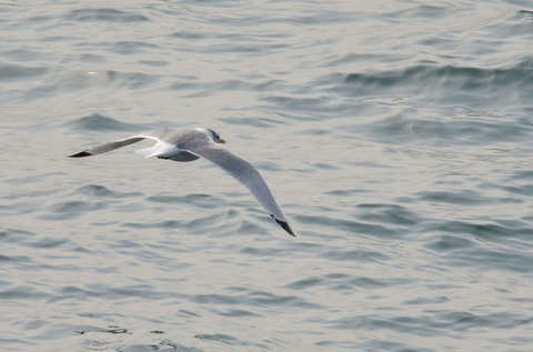 DSC_5990.jpg