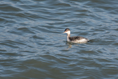 DSC_6015.jpg